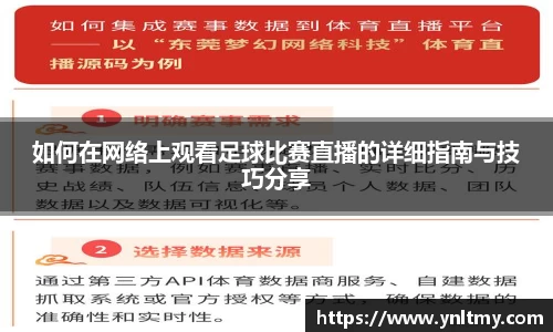 如何在网络上观看足球比赛直播的详细指南与技巧分享