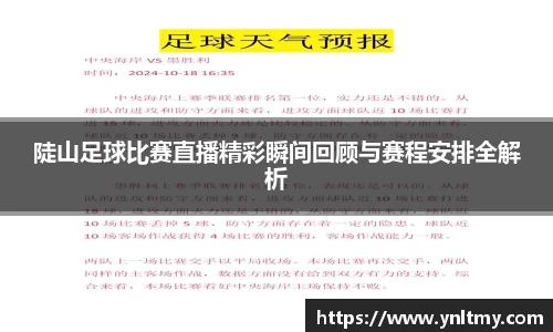 陡山足球比赛直播精彩瞬间回顾与赛程安排全解析