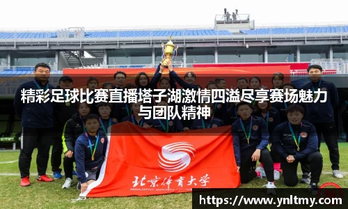 精彩足球比赛直播塔子湖激情四溢尽享赛场魅力与团队精神